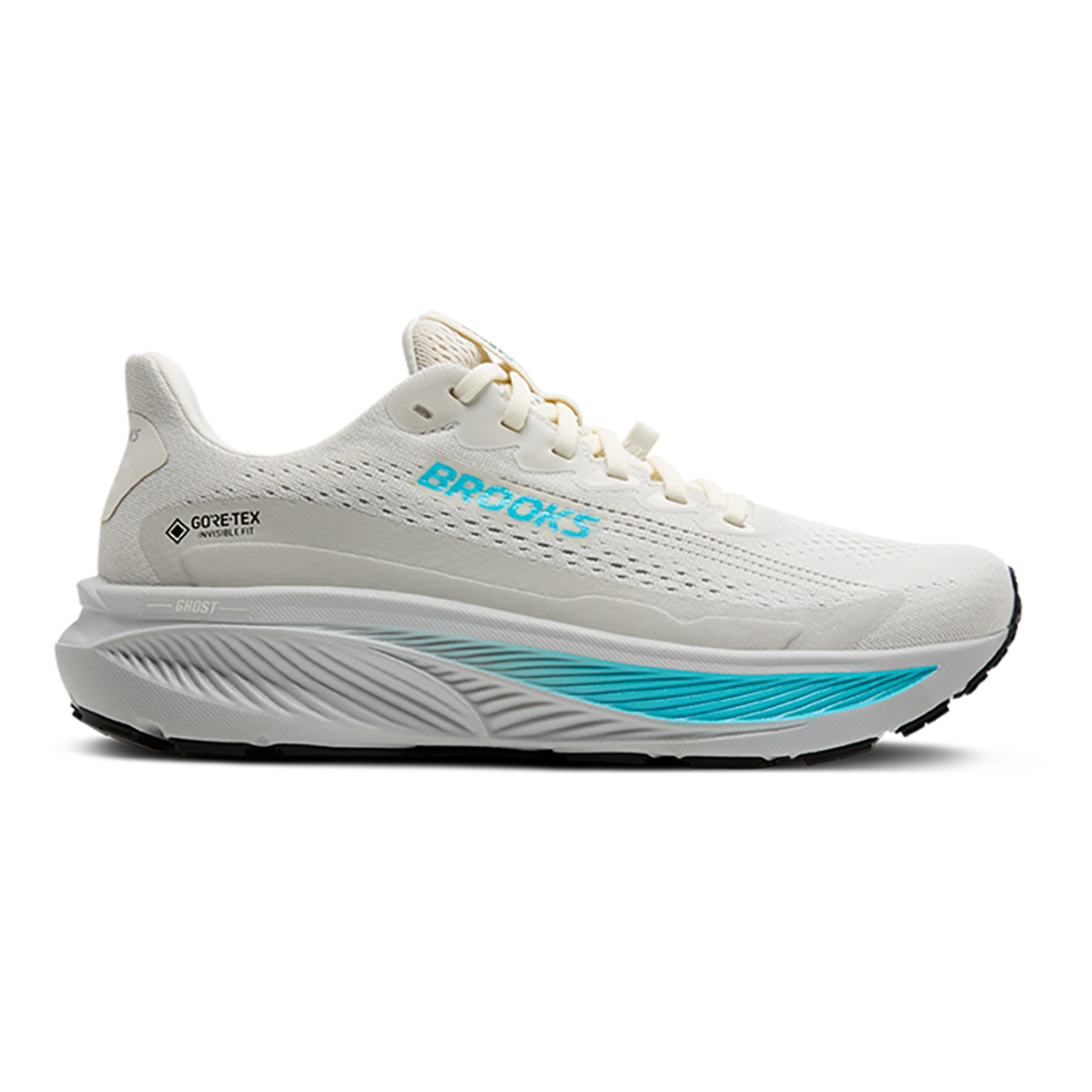 Brooks Ghost 17 GTX Women's Road Running Shoes