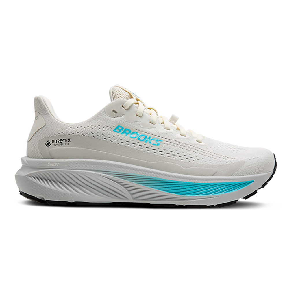 Brooks Ghost 17 GTX Women's Road Running Shoes