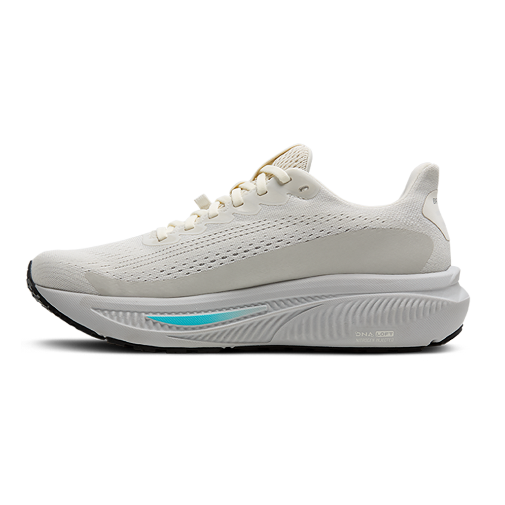Brooks Ghost 17 GTX Women's Road Running Shoes