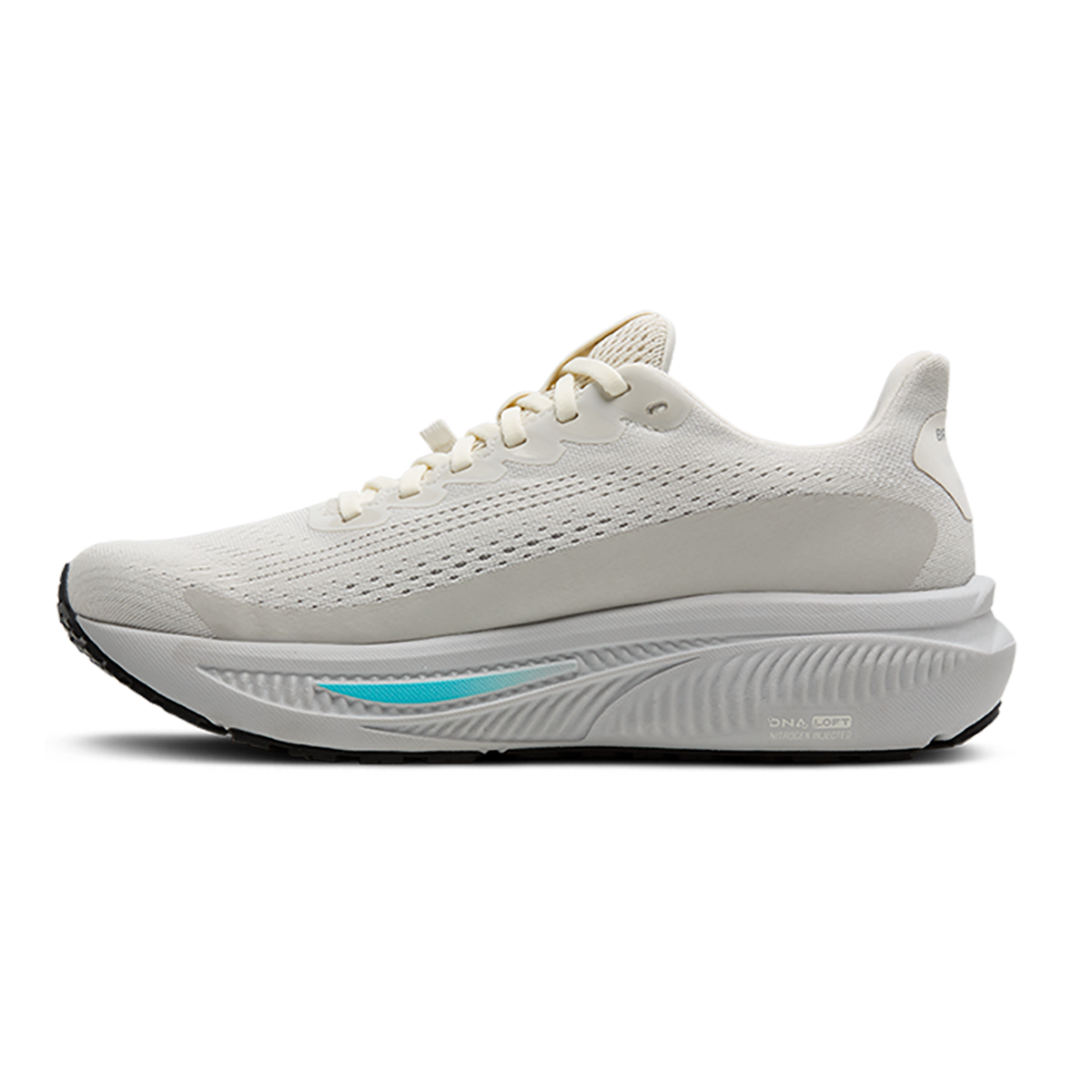 Brooks Ghost 17 GTX Women's Road Running Shoes