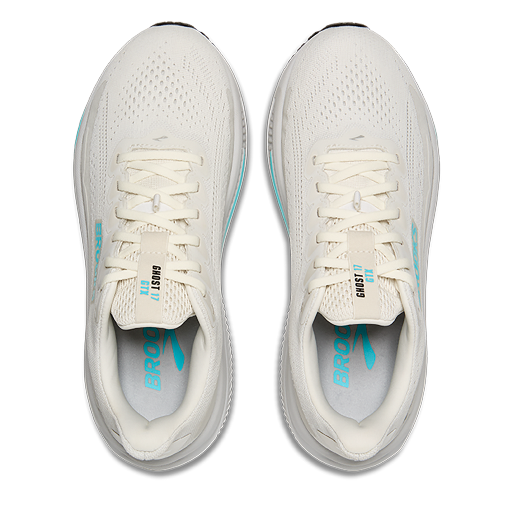 Brooks Ghost 17 GTX Women's Road Running Shoes