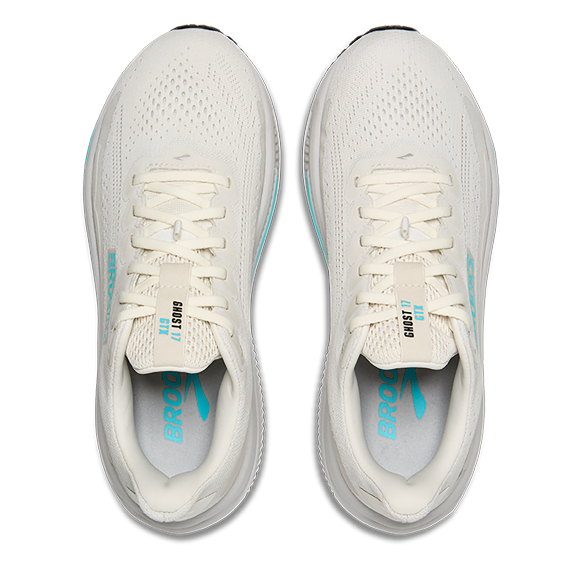 Brooks Ghost 17 GTX Women's Road Running Shoes