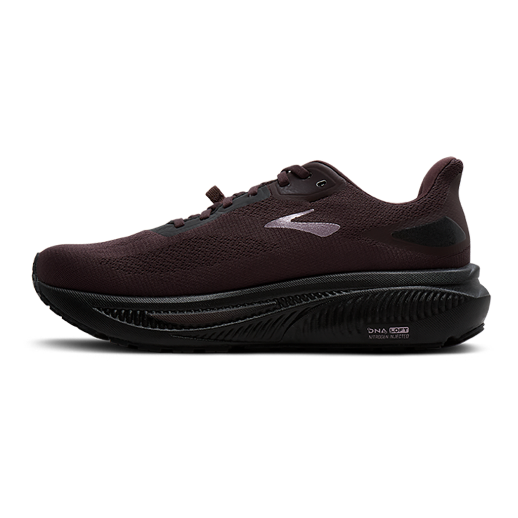 Brooks Ghost 18 GTX Capsule Collection Women's Road Running Shoes